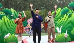 蚌埠热点爆料事件视频最新,视频揭露惊人真相，事件引发社会关注